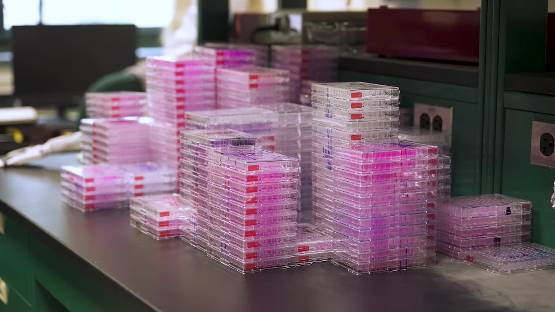 Dr. Chen Cancer Research Lab