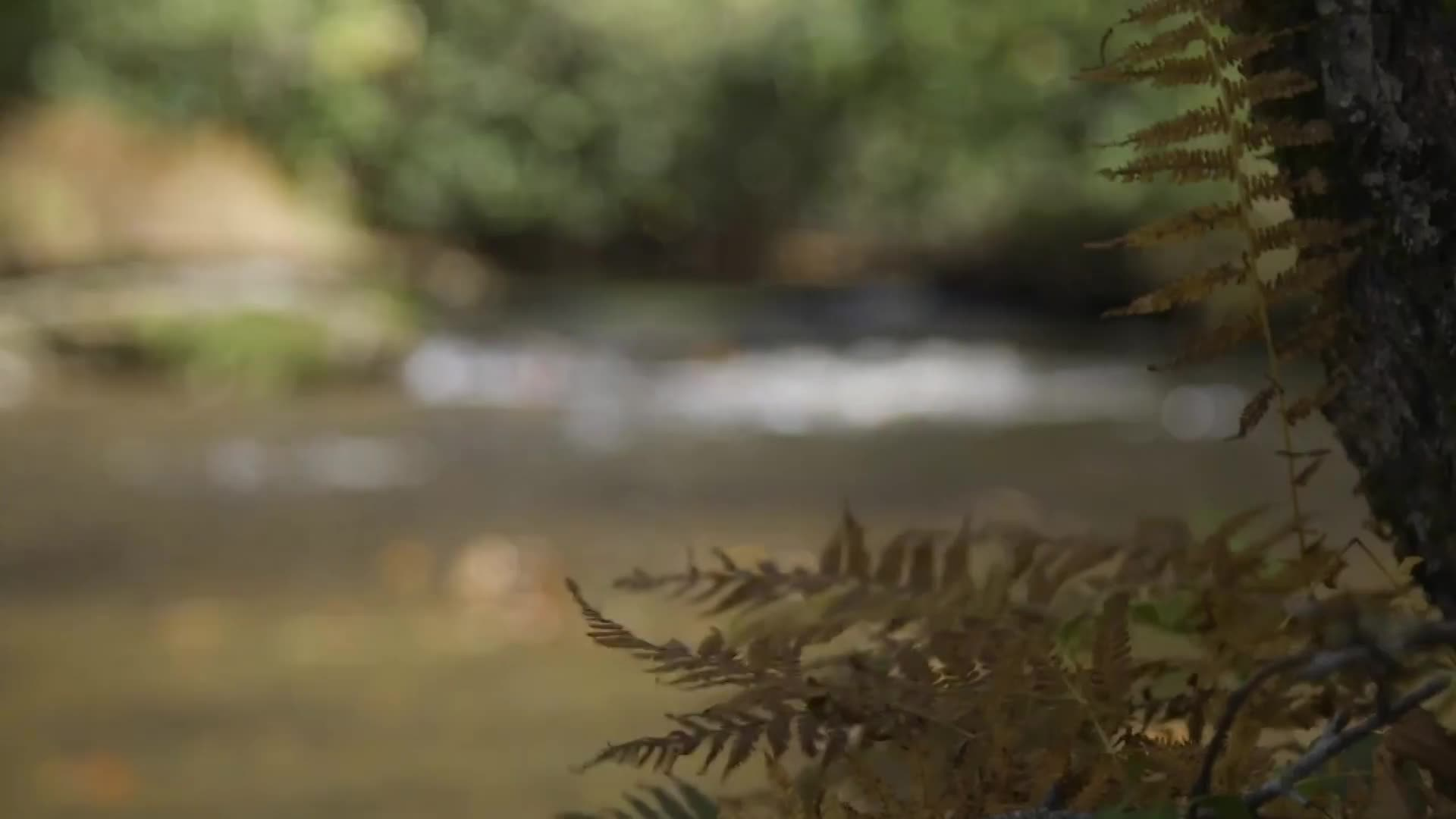 App State Promo: Are You Ready?